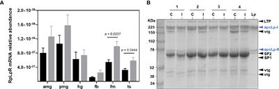 Trypanosoma cruzi Affects Rhodnius prolixus Lipid Metabolism During Acute Infection